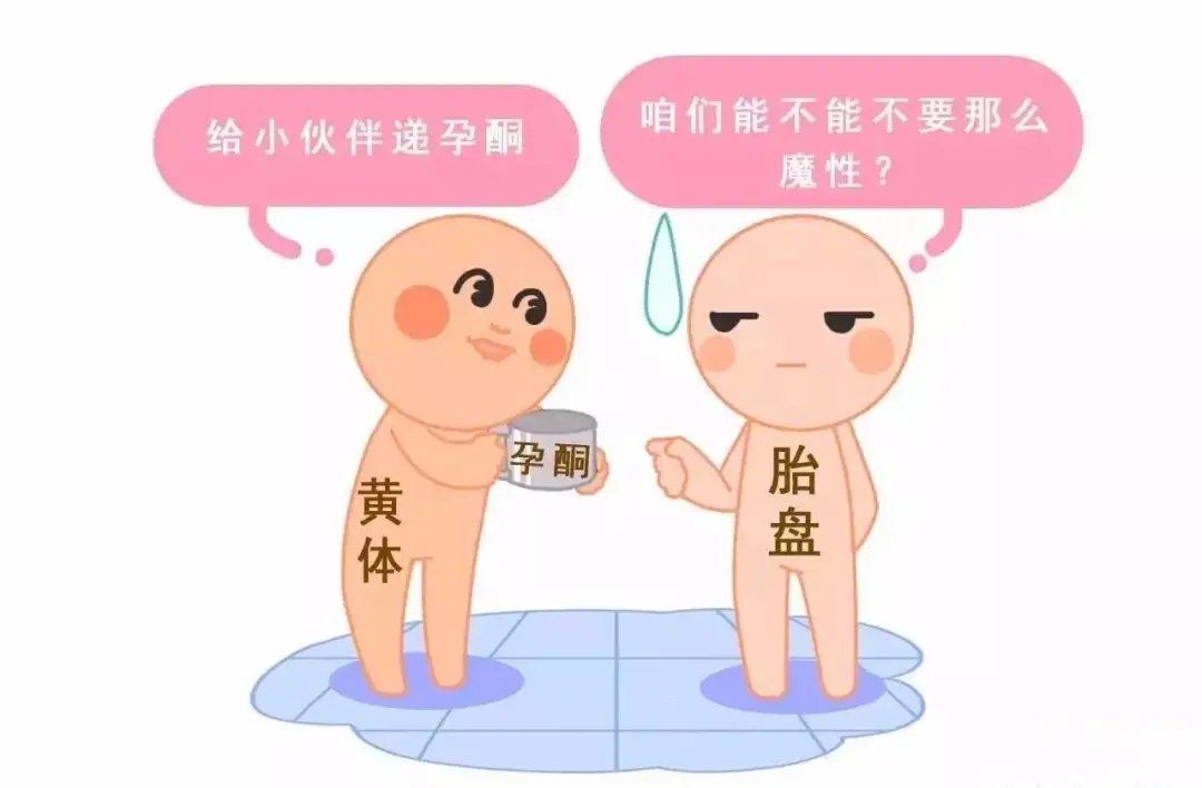 HCG和孕酮低一定會流產(chǎn)？備孕女性必須知道的孕早期“秘密”