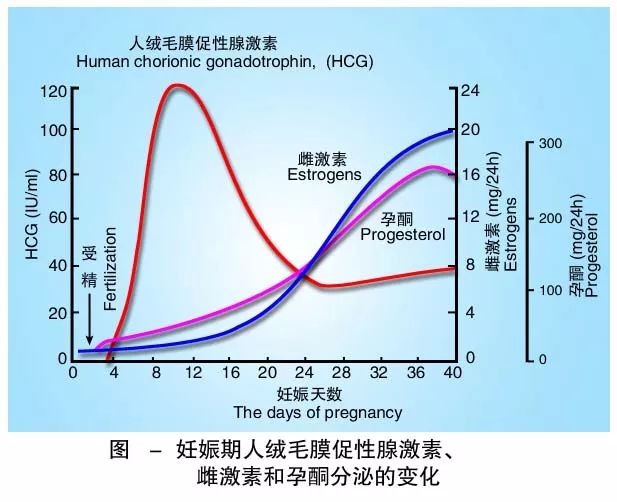 懷孕期間HCG低怎么辦？