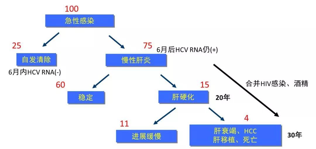 丙肝檢測(cè)的弱陽(yáng)性究竟是不是感染了丙肝？